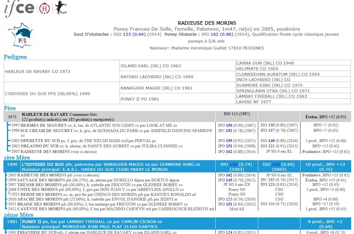 fiche de synthèse IFCE : origines et résultats complets de la famille de Radieuse des Morins