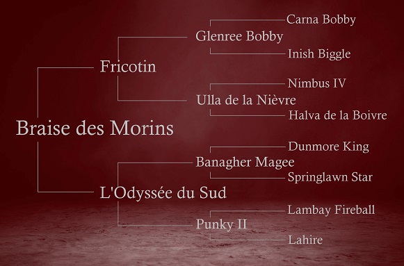 origines de Braise des Morins origines de Braise des Morins, par Fricotin et l'Odyssée du Sud par Banagher Magee