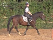 Cachou des Morins