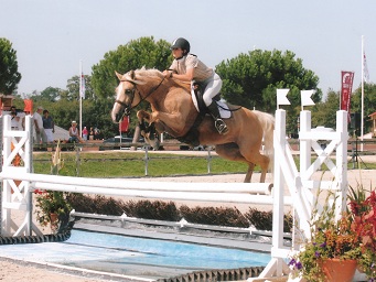 Radieuse des Morins Radieuse des Morins finale cycle classique 6 ans D